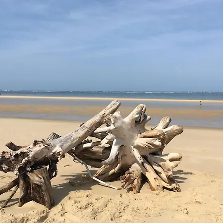 Villa De Luxe Avec Spa A 50 M De La Plage